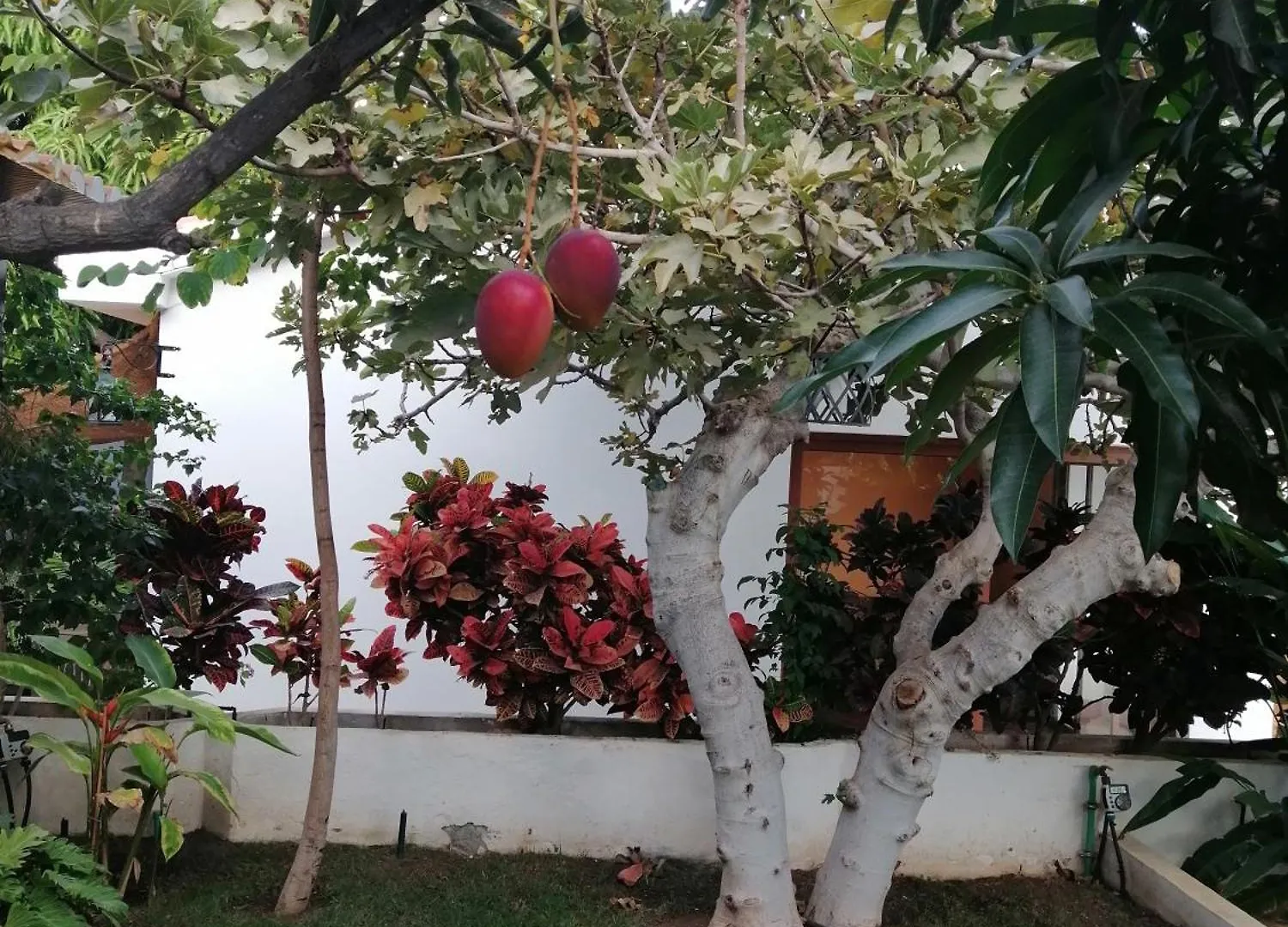 Villa The Mango House Santa Cruz de Tenerife